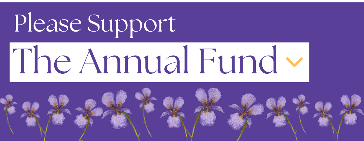 2024 Annual Fund